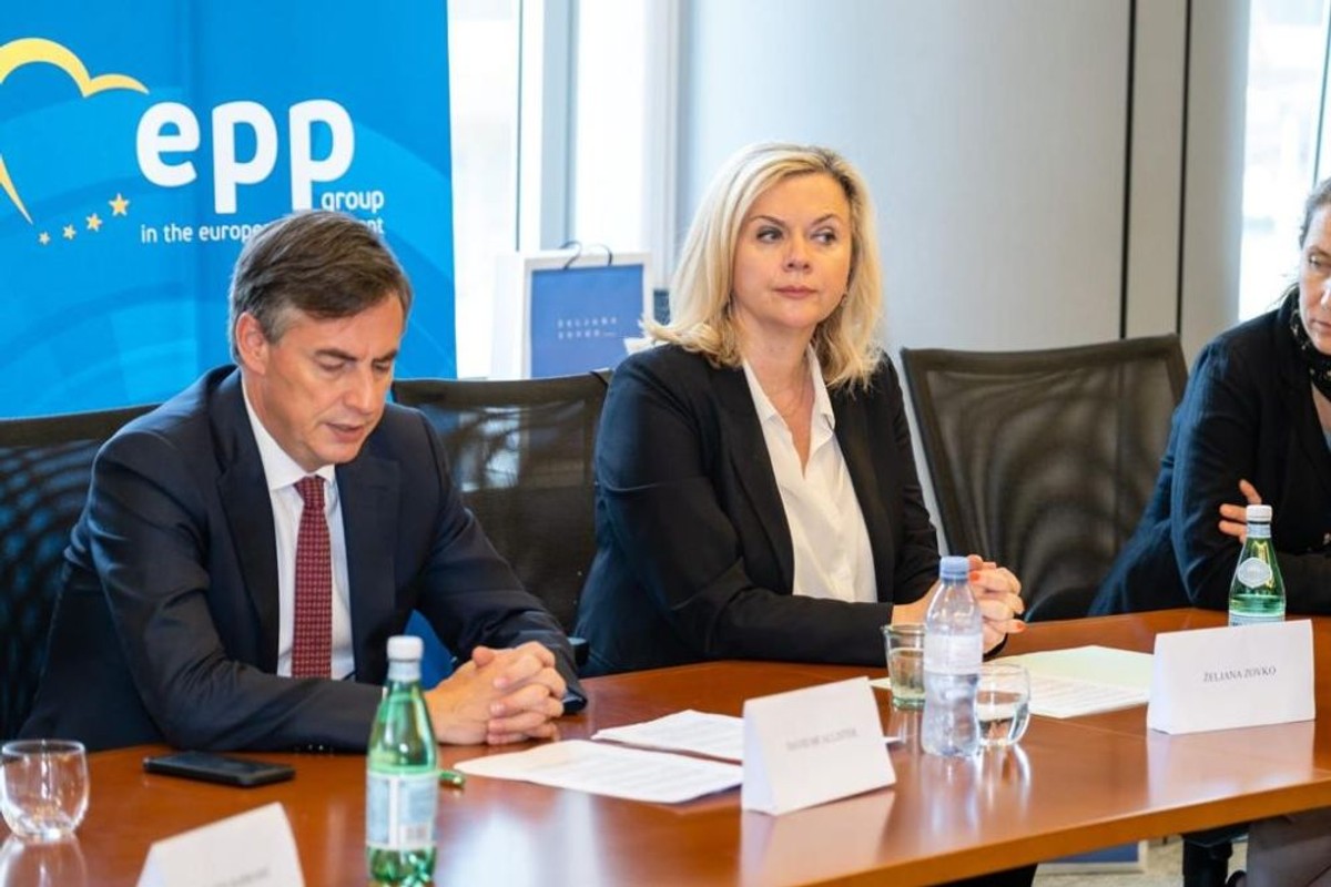 Konferencija o Izbornom zakonu BiH u Europskom parlamentu