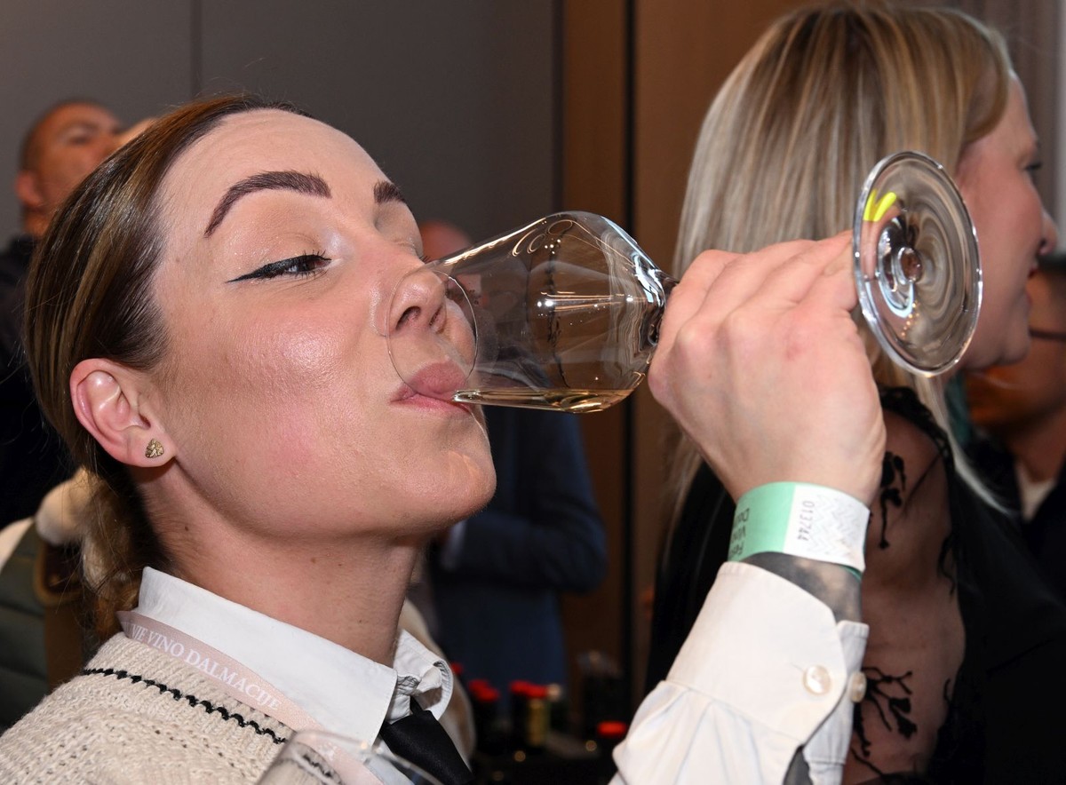 Vina Dalmacije