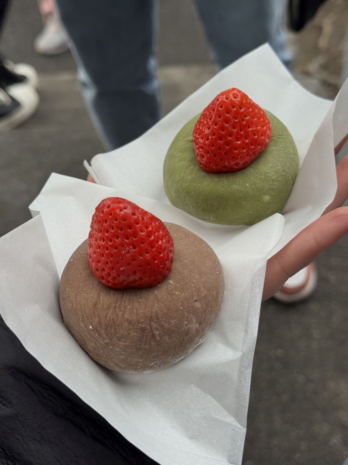 JAPAN KROZ OČI SPLITSKE STUDENTICE Susret s Japancem koji priča hrvatski, lov na gejše i kapibare koje su 'mood' života