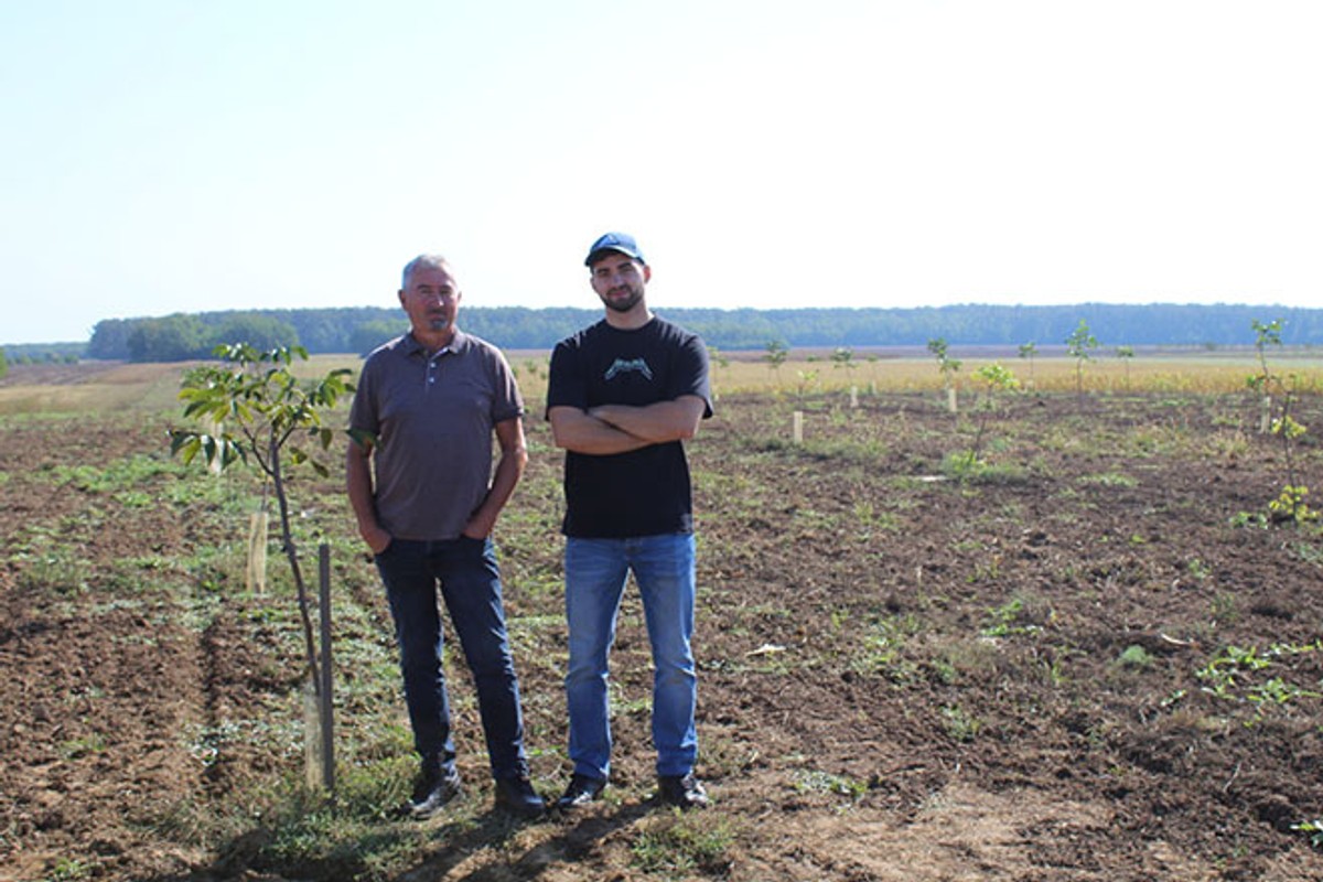 Tomislav Pope: Orah Chandler otporniji je od tradicionalnih sorti