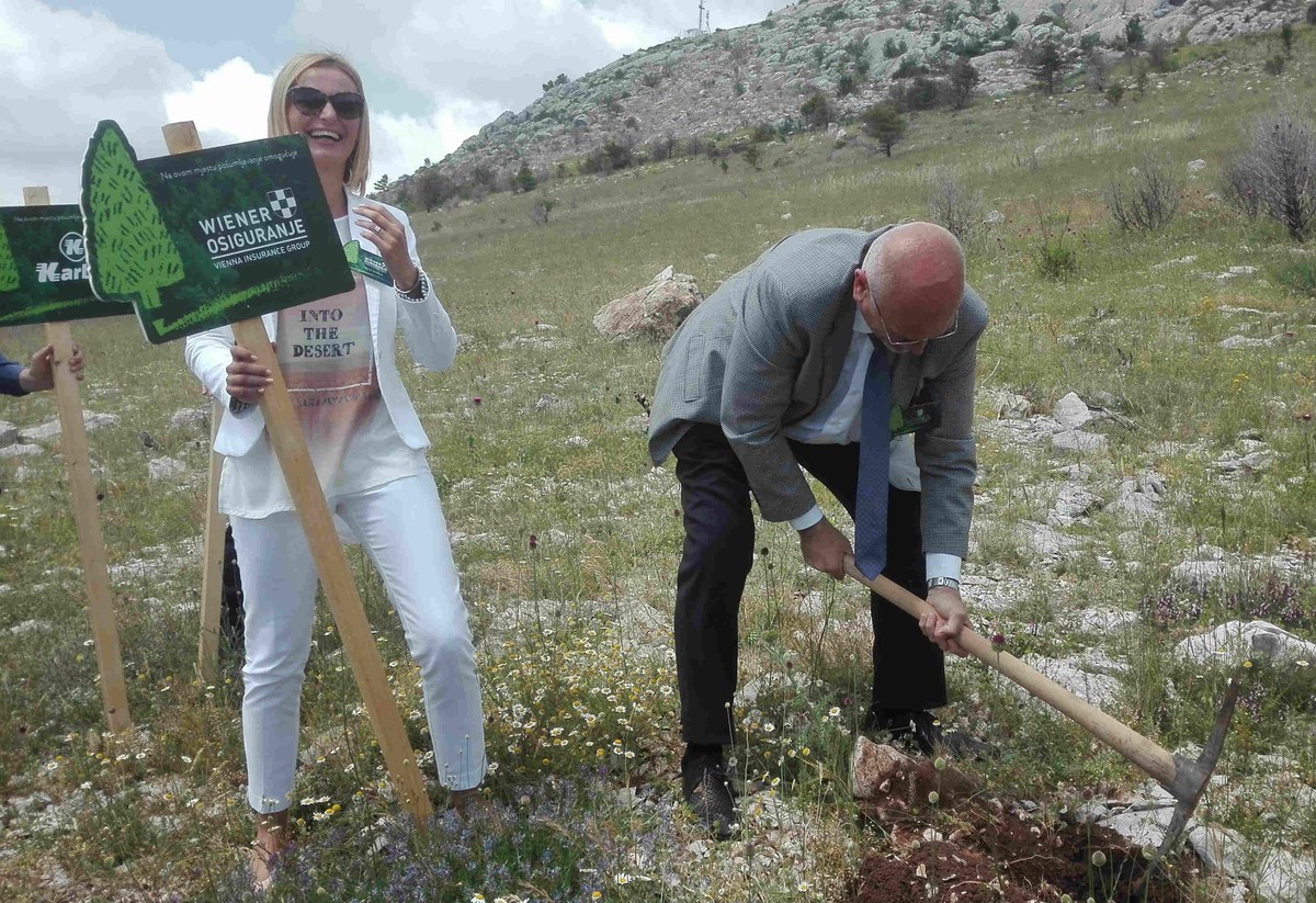 Na jesen kreće Boranka, najveća volonterska akcija pošumljavanja Dalmacije