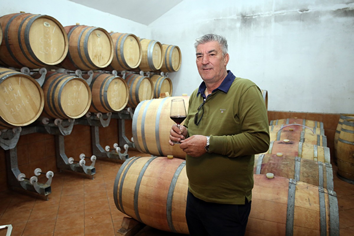DOMOVINA CRLJENKA Dražan Krolo: Pokojni Zlatan Plenković me nagovorio da posadim vinograd u Strmendolcu