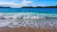 Znanstvenici imaju neobičan zahtjev za sve koji idu na plažu: 'Fotografirajte ovo'
