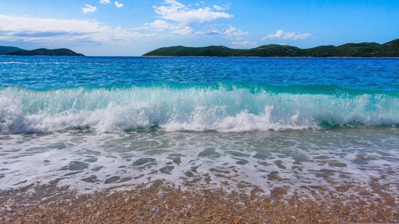 Znanstvenici imaju neobičan zahtjev za sve koji idu na plažu: 'Fotografirajte ovo'