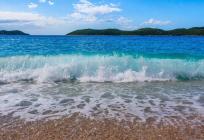 Znanstvenici imaju neobičan zahtjev za sve koji idu na plažu: 'Fotografirajte ovo'
