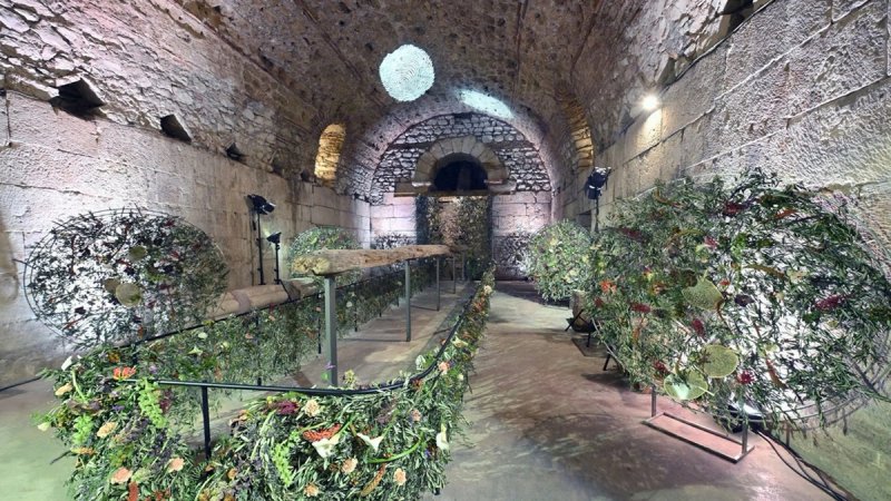 praznik cvijeća podrumi