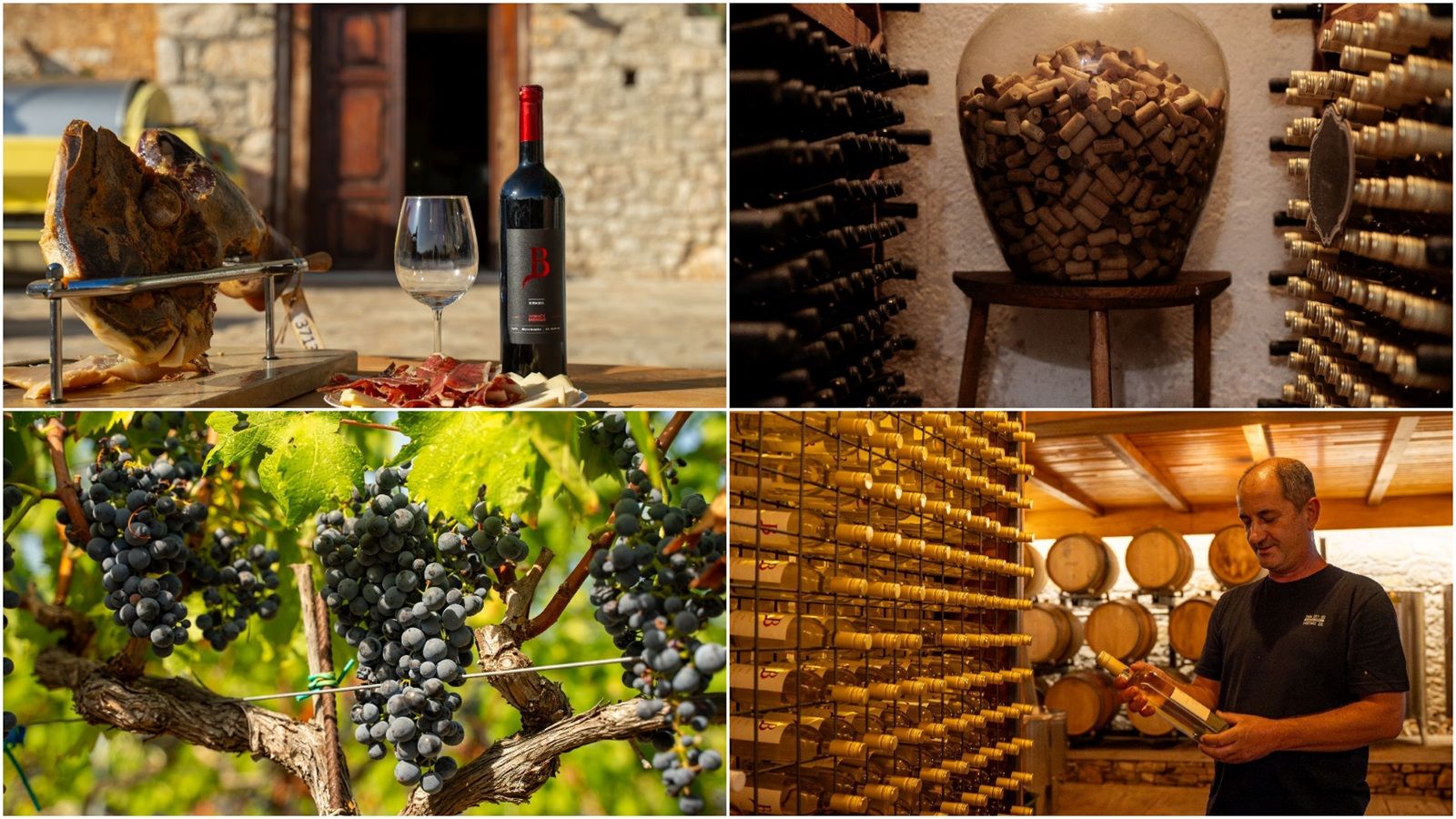  MED&TERRA Festival vina u znaku domaćih vinara, autohtonog dobričića i koncerta Jasne Zlokić