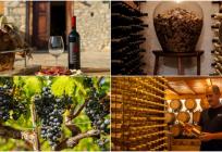 MED&TERRA Festival vina u znaku domaćih vinara, autohtonog dobričića i koncerta Jasne Zlokić