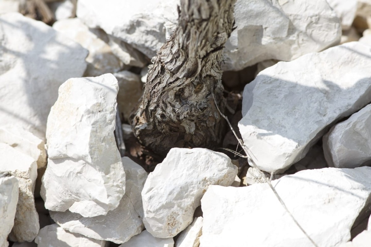 'Bročki vikend' u restoranu Noir