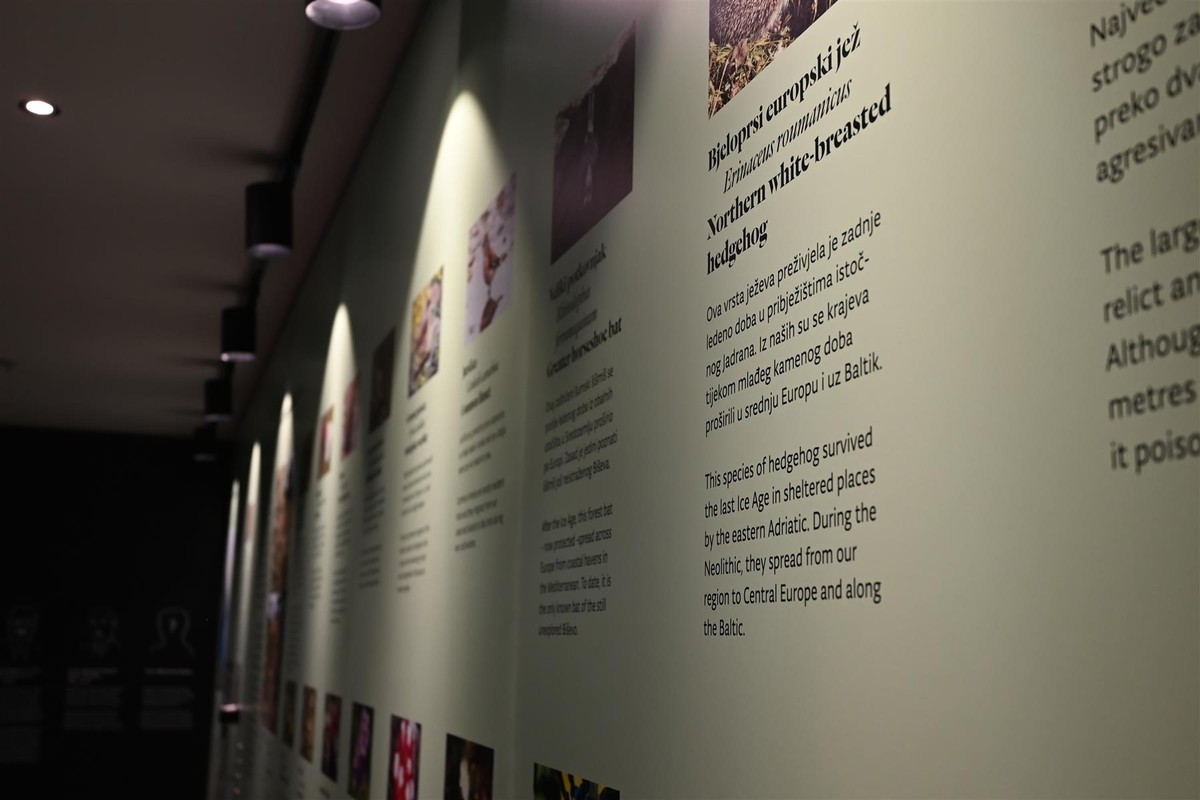 Otvoren Centar za posjetitelje Modra Špilja - Biševo