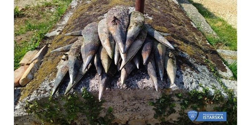 STRAVIČAN EKOCID Poljak u Istri izvukao 26 periski iz mora