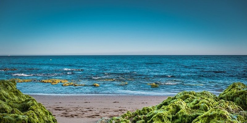 TRAGEDIJA KOD FLORIDE Prevrnuo se brod s migrantima, traga se za najmanje 39 ljudi