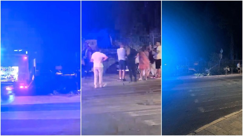 VIDEO Velika grana pala na parkirane taksije, jedan skroz smrskan