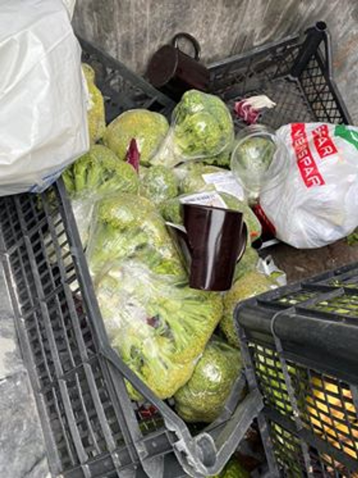 NEVJEROJATNO: U ovo vrijeme Splićani bezdušno bacaju hranu