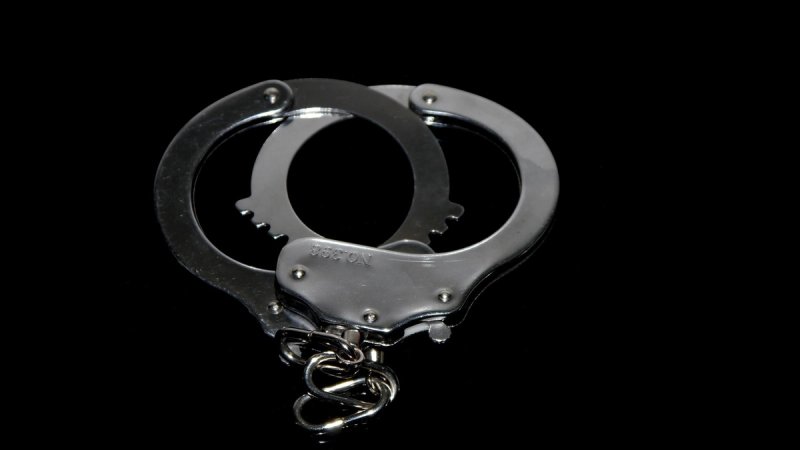 UHIĆENI! Nezakonito stekli vlasništvo nad šumom na Šolti