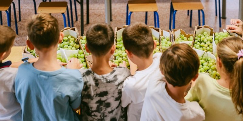 Kaufland 9. godinu zaredom školama donira svježe voće i povrće