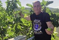 Bulj uživa u životu na selu: 'Ko to može platit…'