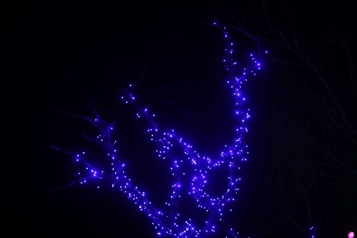 Božićno selo | Foto: Veljko Martinović