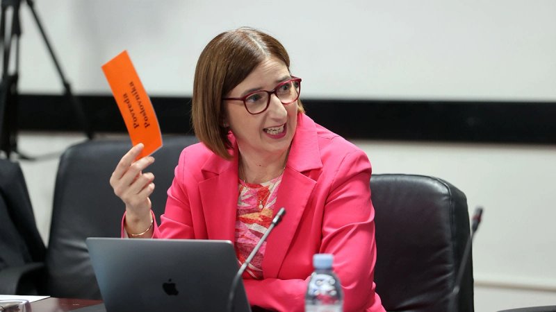 MARIJANA PULJAK: Pljačka javnog novca je najrazvijeniji sport u Hrvatskoj