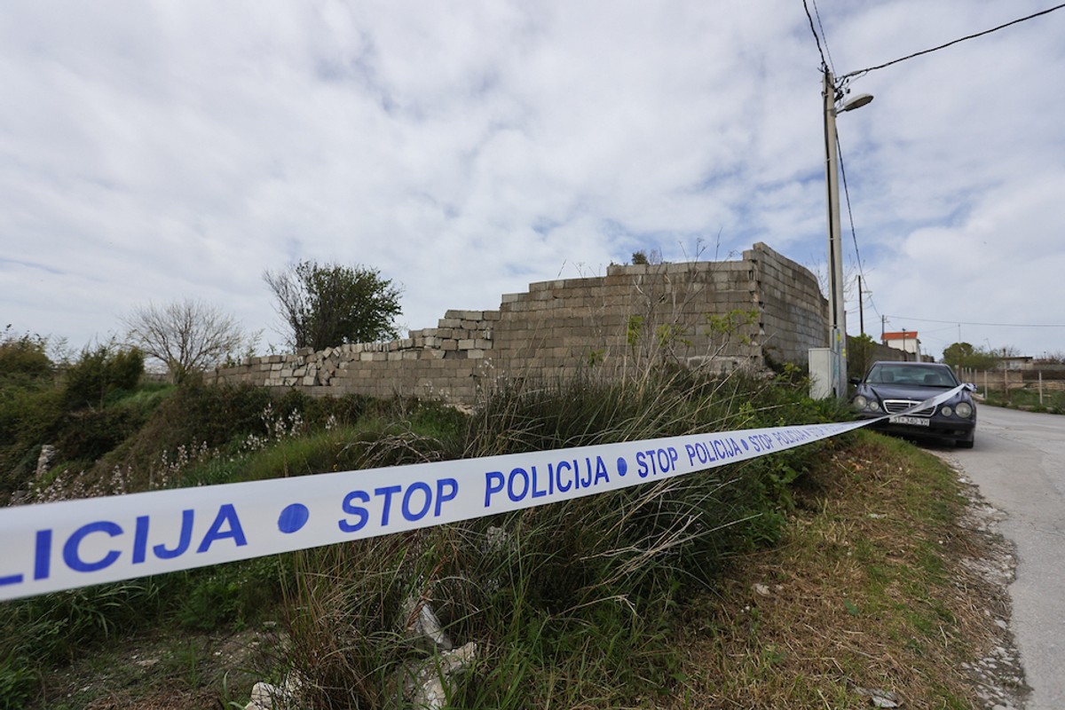 Psi i vukovi u Stobreču | foto: Nikola Brboleža