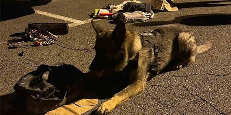 Policijski pas nanjušio kokain: Muškarac u prtljažniku prevozio više od 5,5 kila droge