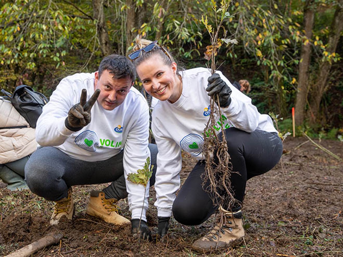 Najnoviji val Dukatovog projekta pošumljavanja - zahvaljujući dječjim crtežima  niče nova šuma od 11 tisuća sadnica 
