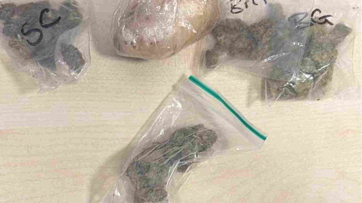 Policija s gotovo dvije tisuće eura kaznila vozača kod kojeg je u Pločama pronađena marihuana i heroin