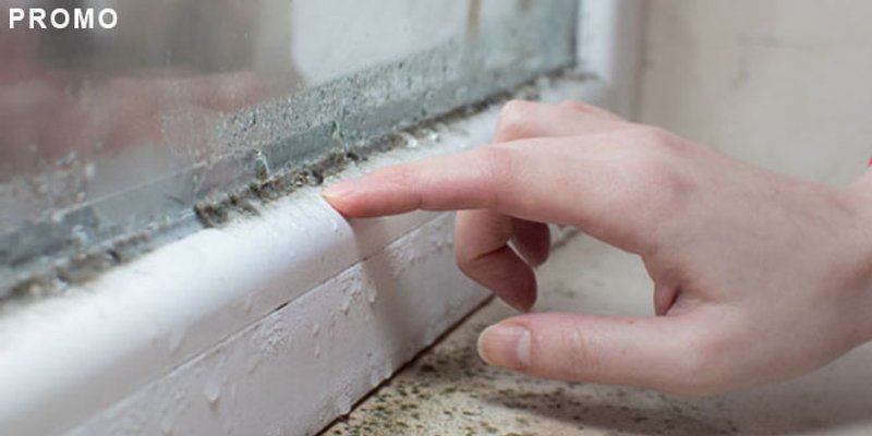 Dugoročno rješenje protiv vlage u kućanstvima - decentralizirani ventilacijski sustavi