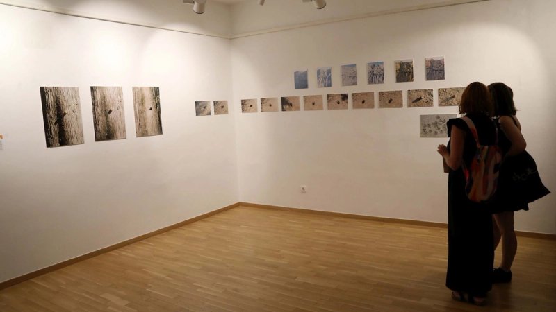 FOTOGALERIJA Završna izložba za kraj Umjetničke rezidencije Makarska 2026