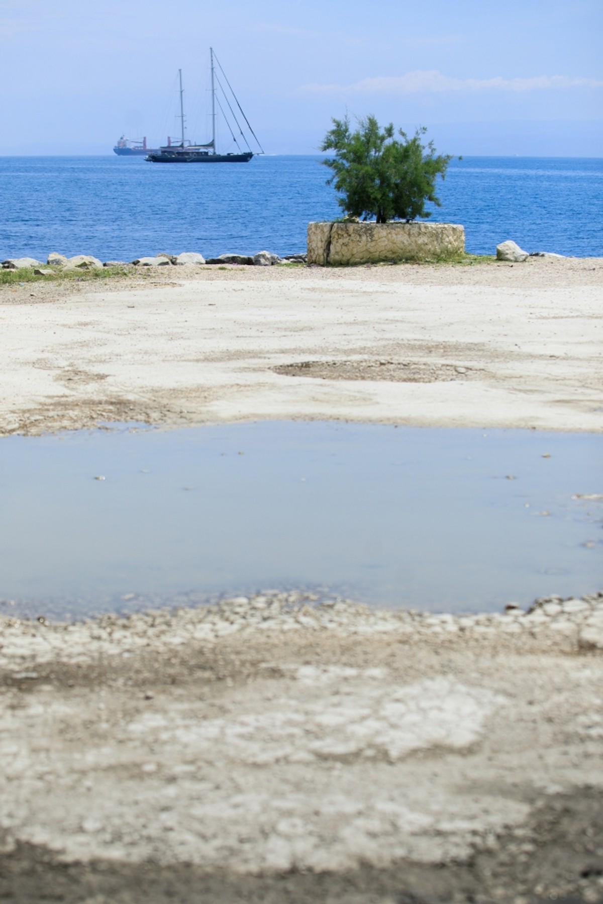 Obojena | Foto: Milan Šabić