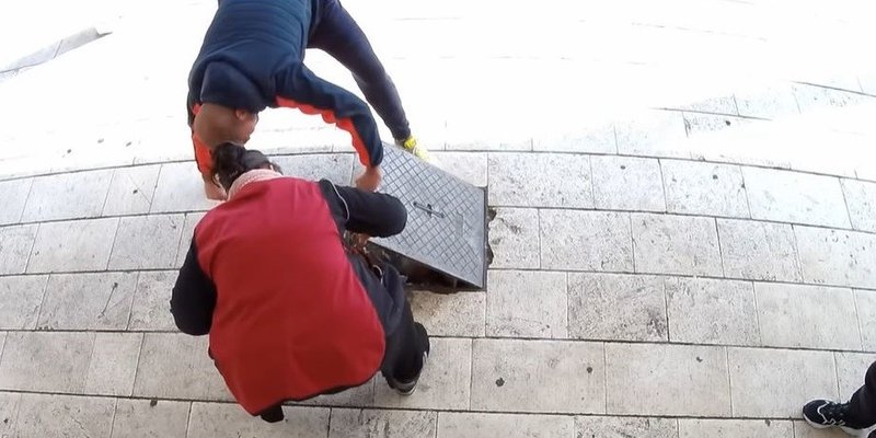 NOVA SKRIVENA KAMERA Pokušaji pomaganja maci iz šahte