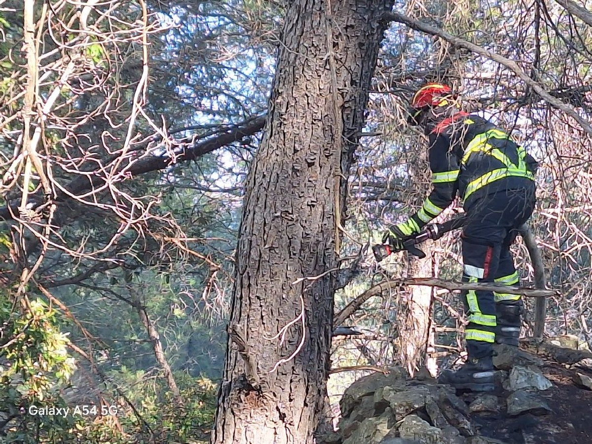 Brački vatrogasci borili se s požarom u uvali Tatinje