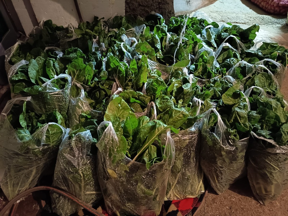 DOBROTA IZ MUĆA Zdravko Jeličić nagrađen zahvalnicom Grada Splita za humanost i nesebičnu pomoć sugrađanima