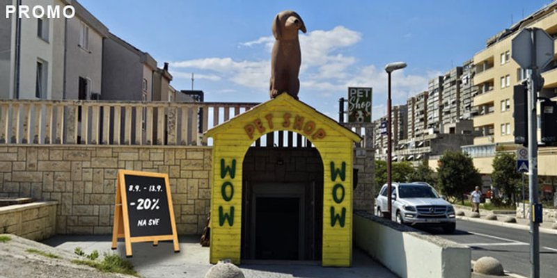 Povratak u grad uz popuste za ljubimce