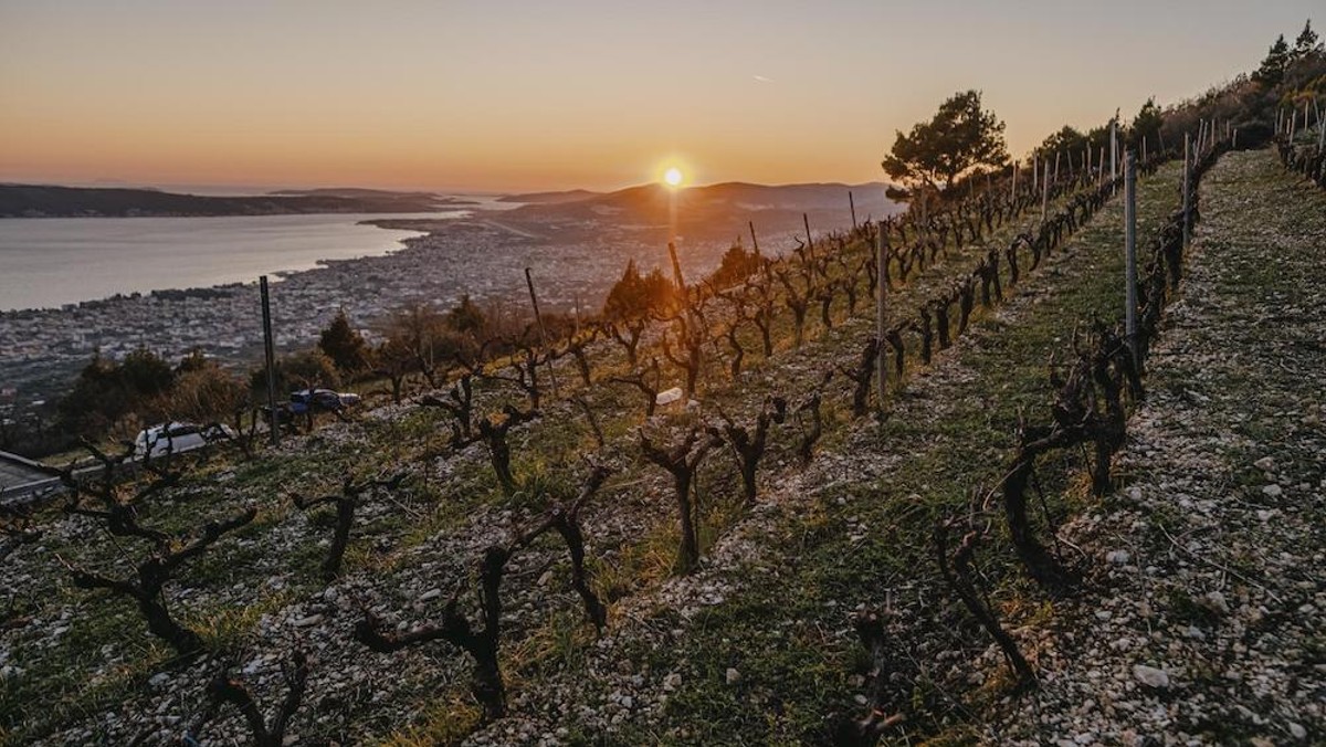 INSPIRATIVNA PRIČA Nadomak Splita niče investicija od 15 milijuna eura 