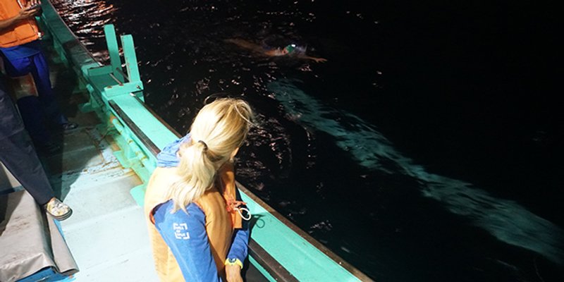 JOŠ JEDAN POTHVAT Dina Levačić preplivala kanal Tsugaru!