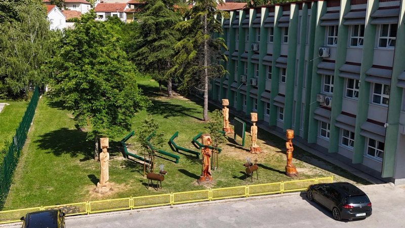 FOTO Pogledajte što je nastalo od 50 godina starih stabala u sinjskoj školi