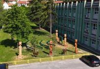 FOTO Pogledajte što je nastalo od 50 godina starih stabala u sinjskoj školi