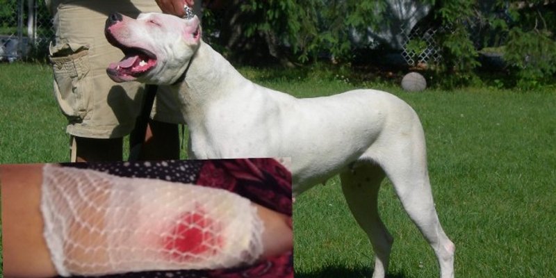 NA PLAŽI U KAŠTELIMA Ženu izgrizao pas dok je bila s unucima na moru