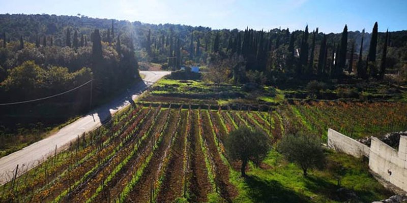 Uoči Uskrsa poljoprivrednicima isplaćeno više od 485 milijuna eura potpora