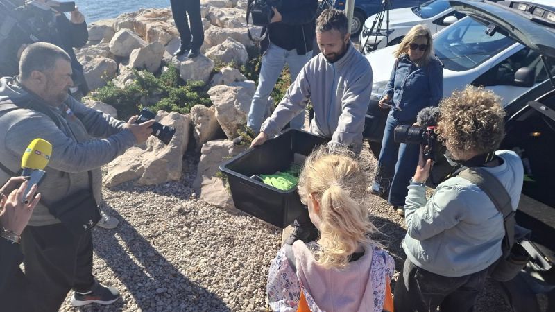 LIJEPI PRIZORI U DALMACIJI Frane, strogo zaštićena glavata želva, spašen i vraćen u more
