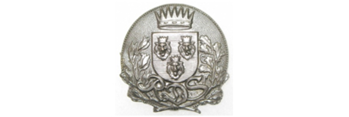 LEOPARDOVE GLAVE: Grb Dalmacije je i u grbu Zagrebačke županije