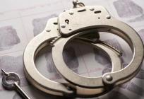 Krađa u Šibeniku, uhićenje na Bajakovu: Policija riješila slučaj računalne prijevare