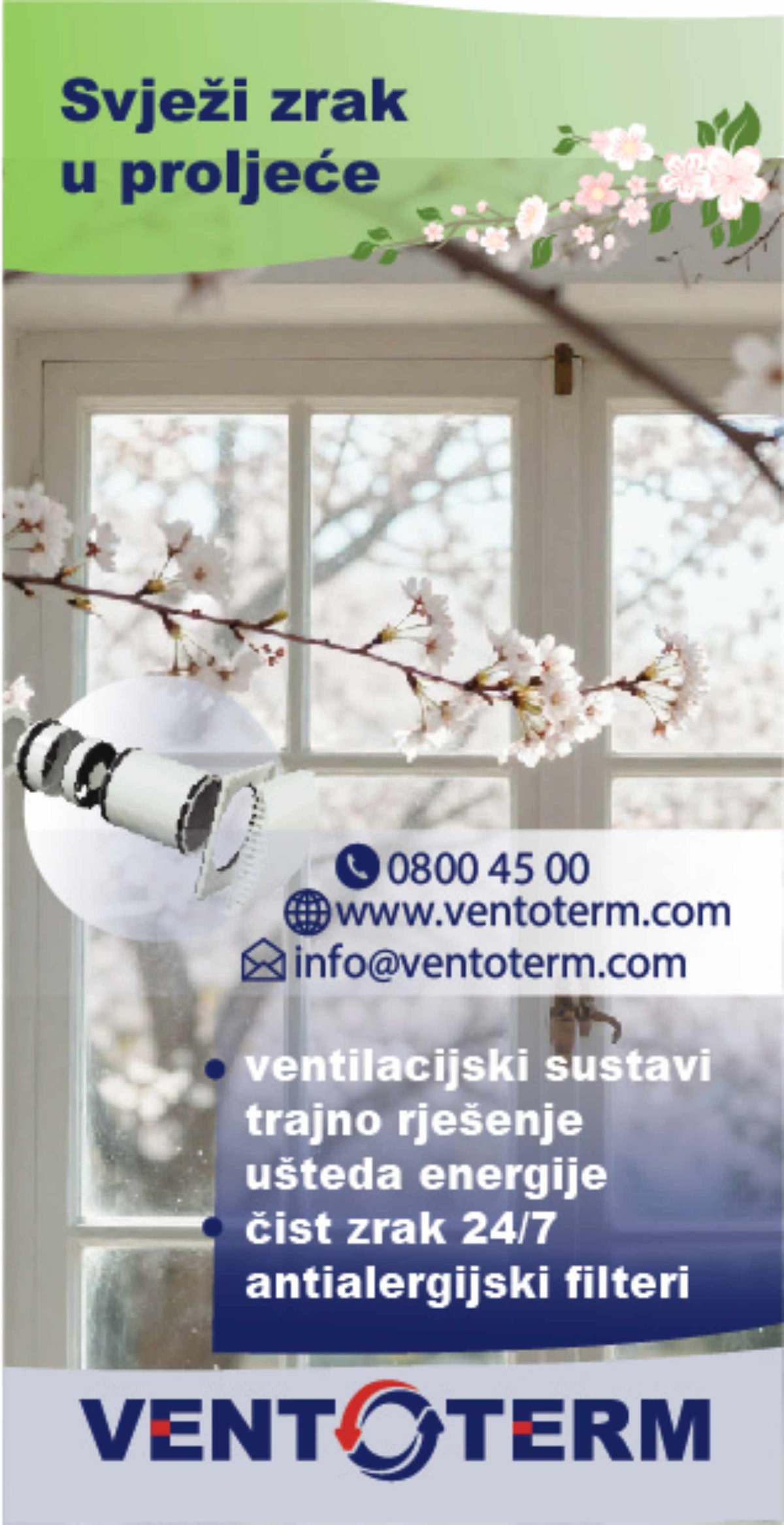 Zašto se plijesan stalno vraća – iako je redovito čistite?