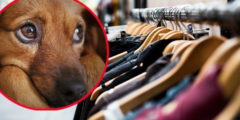 Kampanja 'Do we try hard enough?' poziva građane na dobra djela: U fokusu ljudi, priroda i životinje