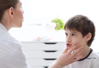 Logopedi na raspolaganju djeci na Korčuli već 15 godina