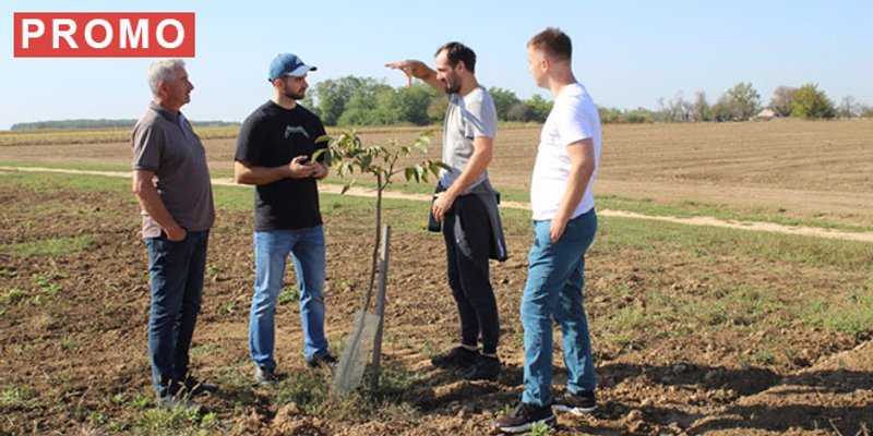 Tomislav Pope: Orah Chandler otporniji je od tradicionalnih sorti