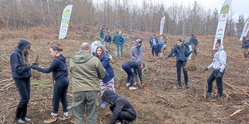 Šumoborci krenuli u novu sezonu pošumljavanja