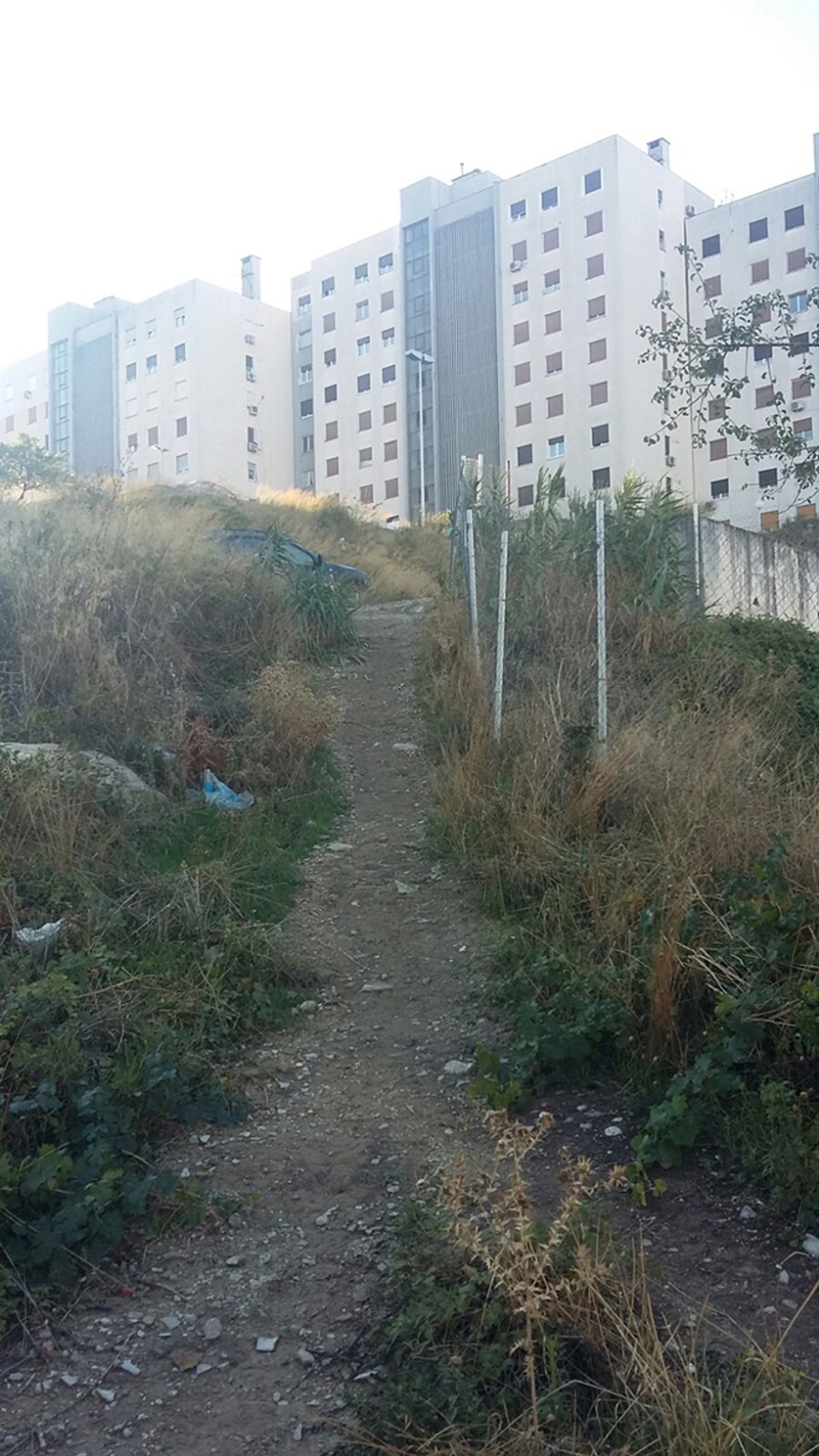 Gudić odgovorio Baldasaru: Gradonačelniče, je li Vas sram što djeca s Pujanki idu u školu kozjim putevima i rade tjelesni među automobilima?