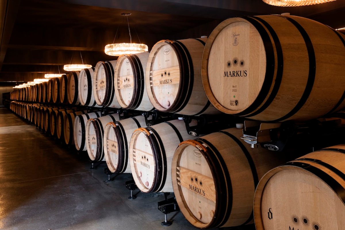 FOTO Vinarija Markus odradila je prvu berbu na Šolti: Kadrovi su impresivni